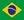 PT-BR